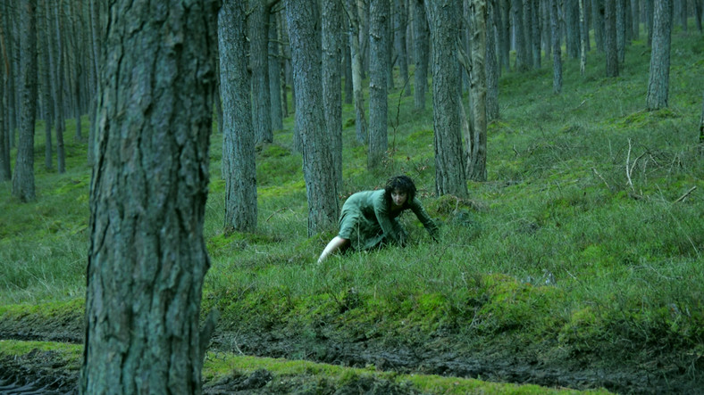 "Mały las, krótki sen", reż. Paweł Passini