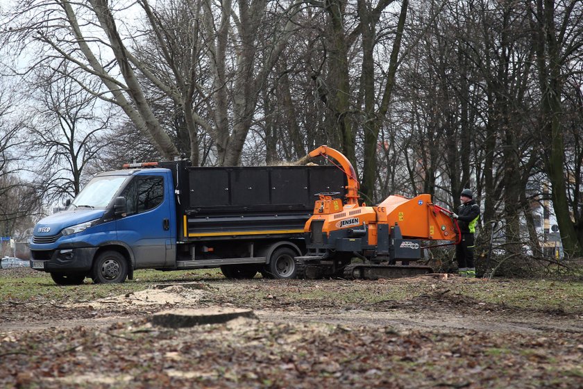 Wielka awantura o park Powstańców