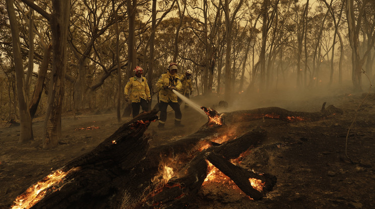 Nyolc hónap után minden tüzet eloltottak Új-Dél-Walesben /Fotó/MTI/EPA
