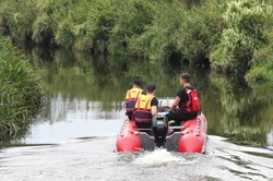 Sygnały o śniętych rybach w rzece Wełna i jeziorze w Środzie Wielkopolskiej