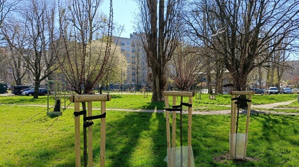 Koszt całej inwestycji to 400 tysięcy złotych - z trzyletnim okresem pielęgnacyjnym nasadzeń.