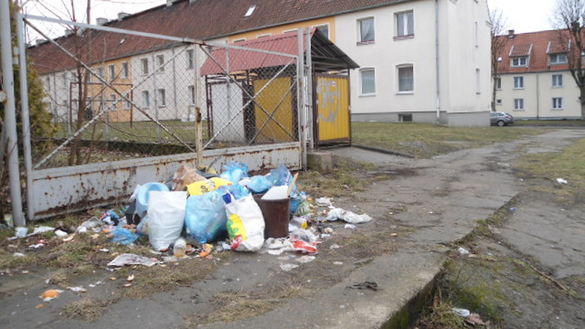 Straż Miejska w Elblągu patrolując miasto coraz częściej stwierdza nieprawidłowości dotyczące ładu i porządku. Funkcjonariusze przyznają, że wymagają one natychmiastowej interwencji. Sprawcom zaśmiecania miasta grozi mandat w wysokości nawet pół tysiąca złotych.