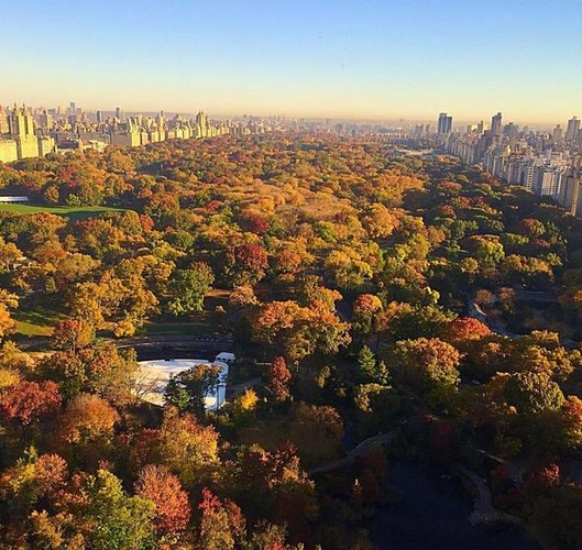 Kinga Rusin w Nowym Jorku