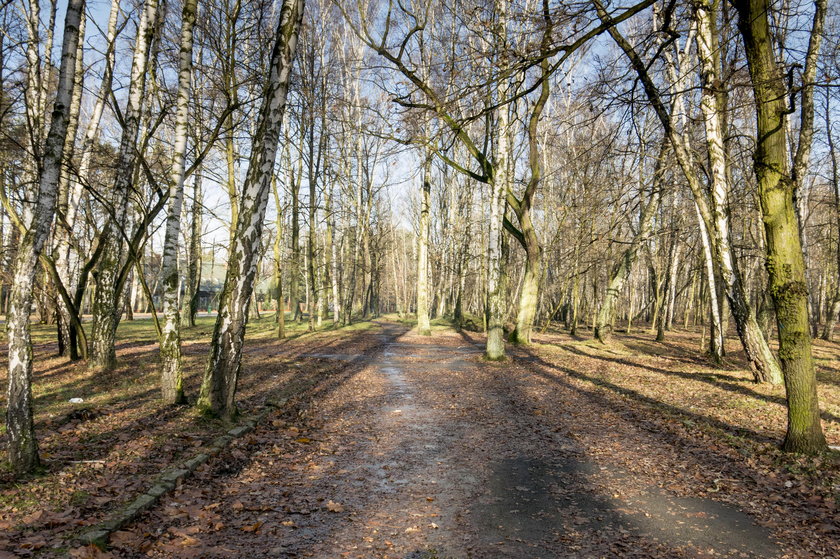 Dąbrowa Górnicza. Park Zielona będzie przebudowany