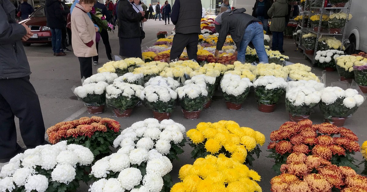 Paragony grozy na Wszystkich Świętych? Przed 1 listopada zapłacisz za wiązanki więcej niż myślisz