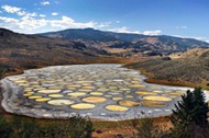 Spotted Lake / Spotted Lake /598758