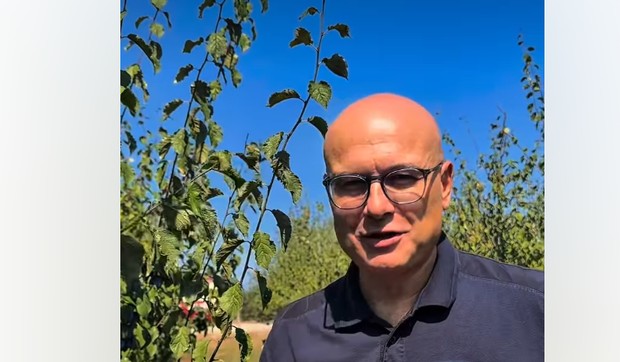 Vučević