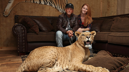 Állati: Oroszlánokkal és tigrisekkel él együtt ez a házaspár
