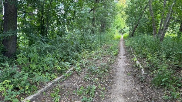 Trasa pieszo-rowerowa ma przebiegać wśród zieleni