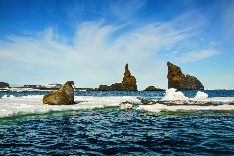 Krajobraz Arktyki jest zbudowany z kontrastów. Z każdym podmuchem wiatru, z każdą przysłaniającą słońce chmurą zmienia się jak w kalejdoskopie.   