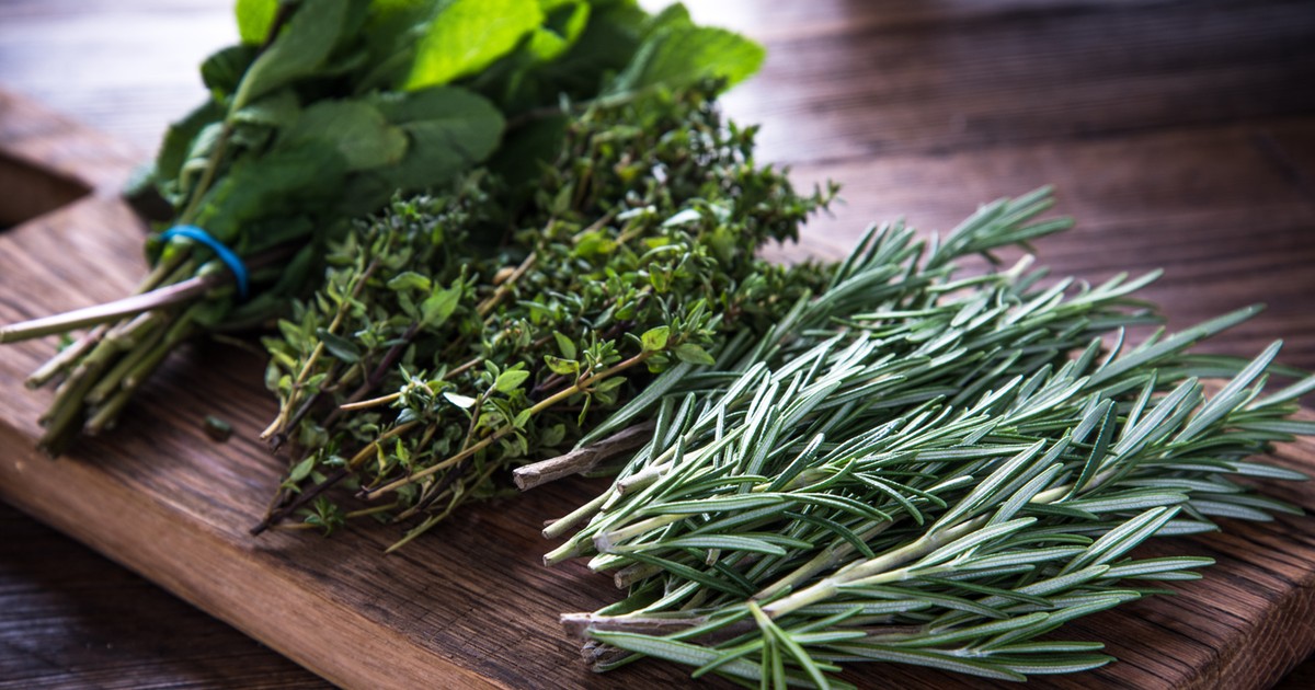 Zioła w kuchni po które warto sięgnąć i jakie mają działanie