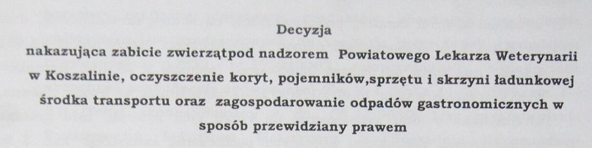 Prędzej się powieszę, niż zabiję swoje świnie