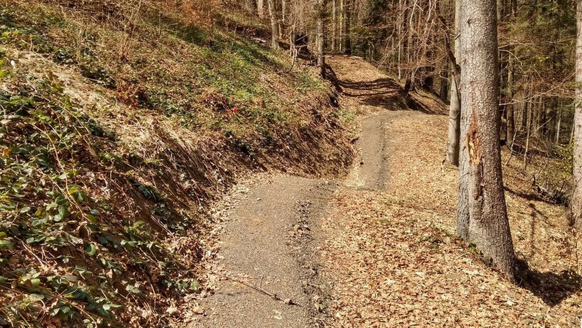 Bieszczady: Nowa trasa rowerowa "Singletrack pod Honem"