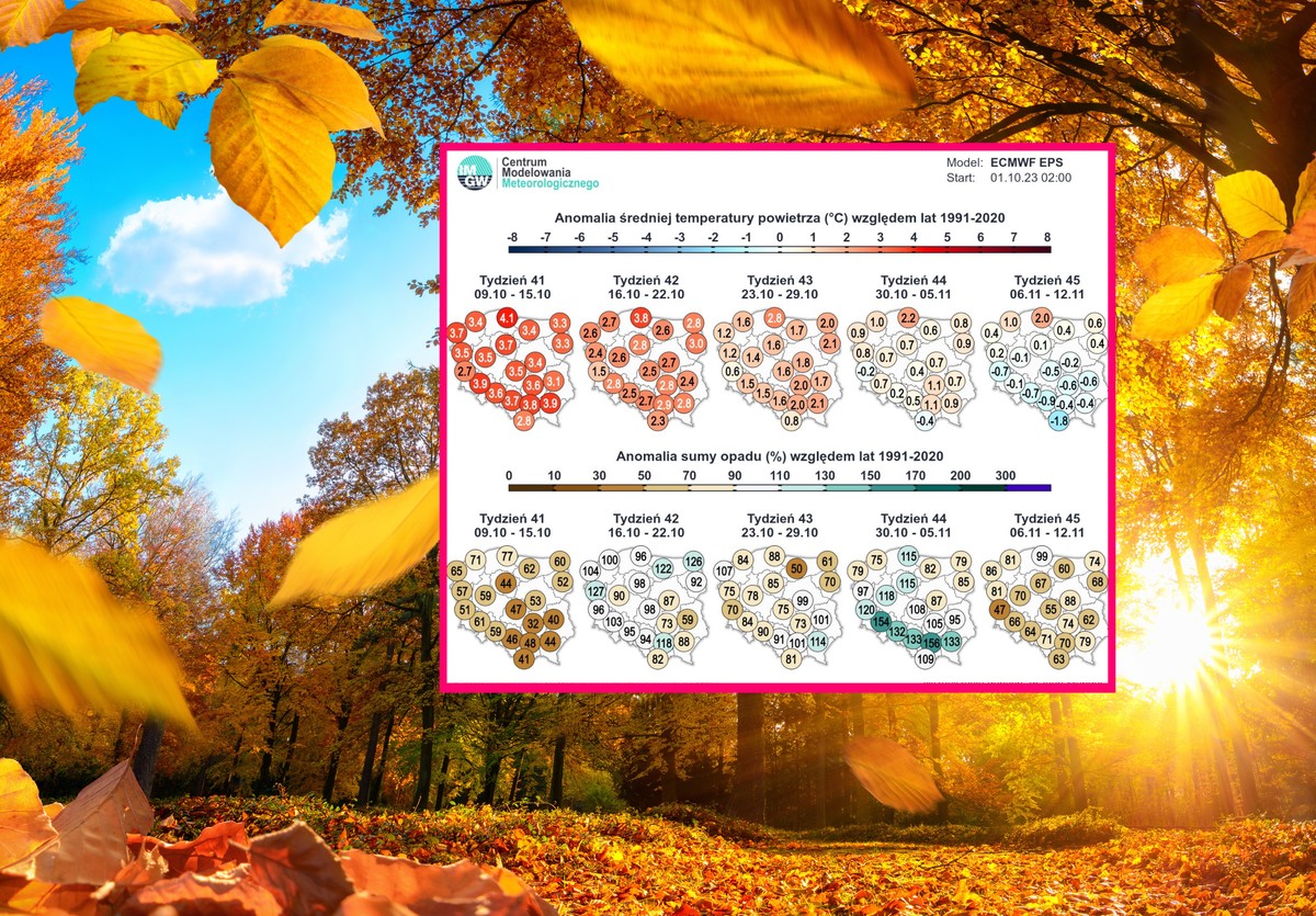 pogoda prognoza pogody Golden,Autumn,Scene,In,A,Park,,With,Falling,Leaves,,The