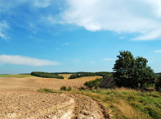 Cudzoziemcy wykupują polską ziemię