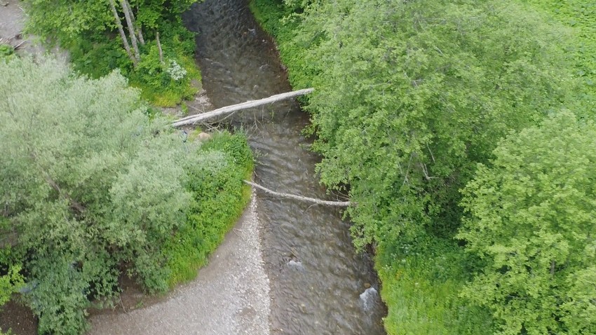 Meštani mogu preći reku samo preko debla