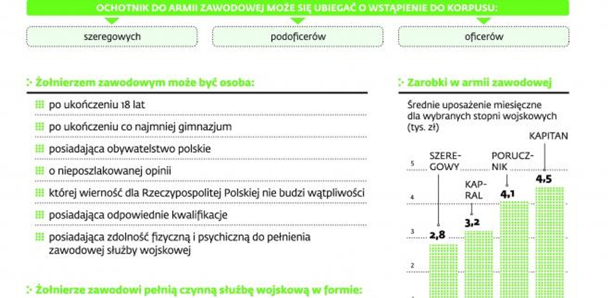 Nabór do armii zawodowej