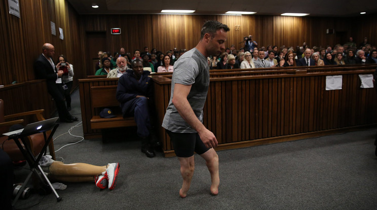 Pistorius a tárgyaláson / Fotó:MTI