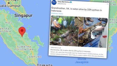 Siedmiometrowy pyton zjadł ją żywcem. Mieszkańcy indonezyjskiej wioski żyją w strachu