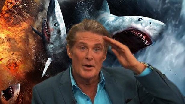 David Hasselhoff: Jestem zaszczycony, że gram w najgorszym filmie w historii