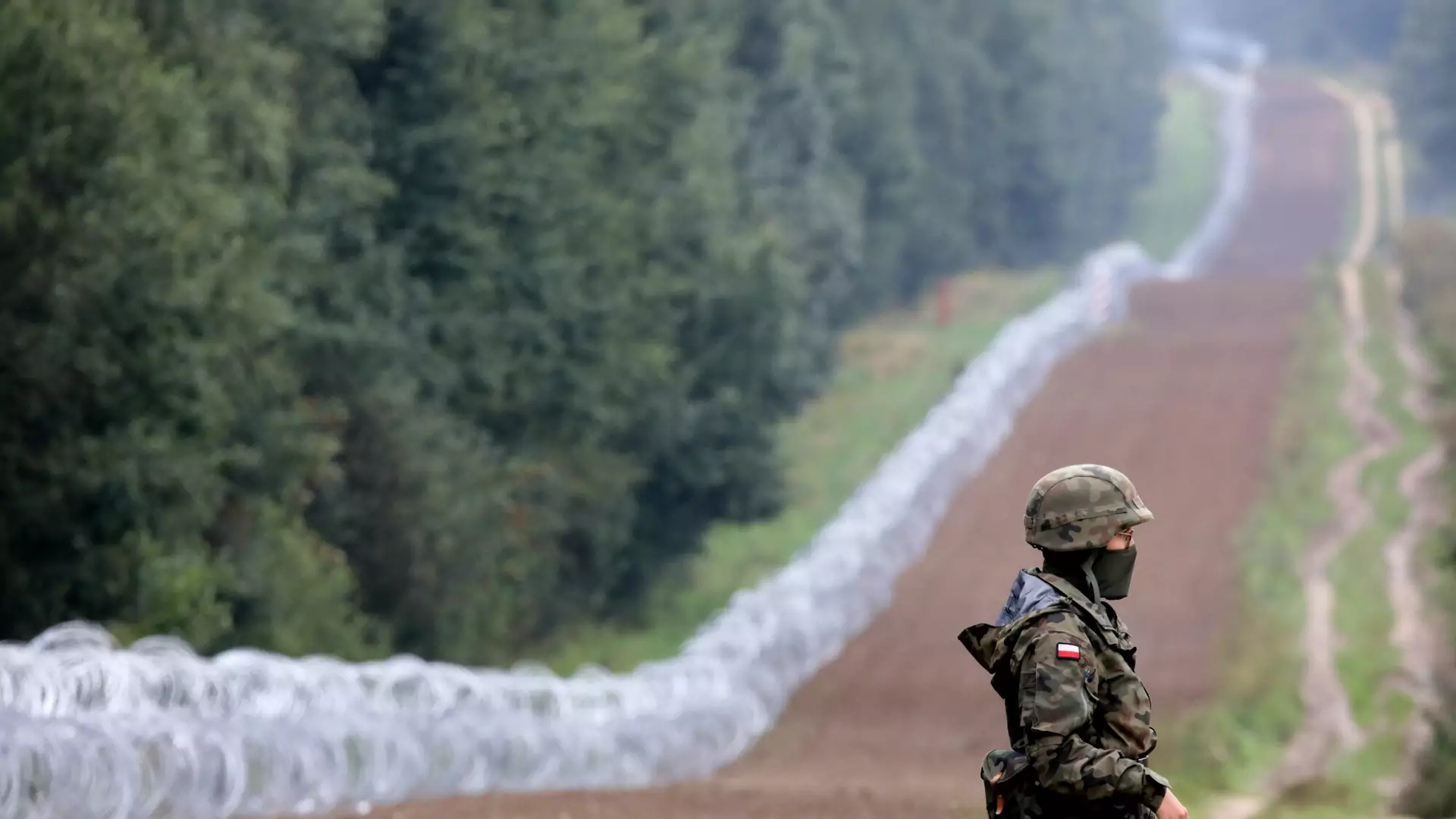 "Mur na granicy to też tragedia dla przyrody". Część polskiej populacji rysia zagrożona