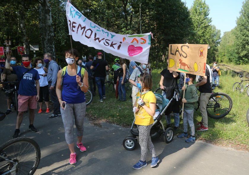 Łosie TAK, deweloperzy NIE!