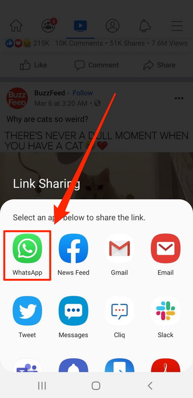 How_to_share_Facebook_videos_on_Whatsapp_ _4