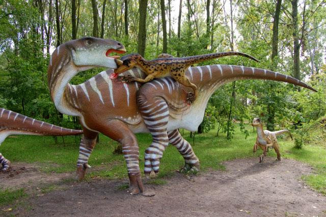 Galeria Polska - Rogowo - Park Dinozaurów, obrazek 21