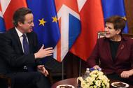 David Cameron, Beata Szydło