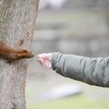 Niemal wszyscy uprawnieni mogą przejść na wcześniejszą emeryturę. Rząd spróbuje ich powstrzymać