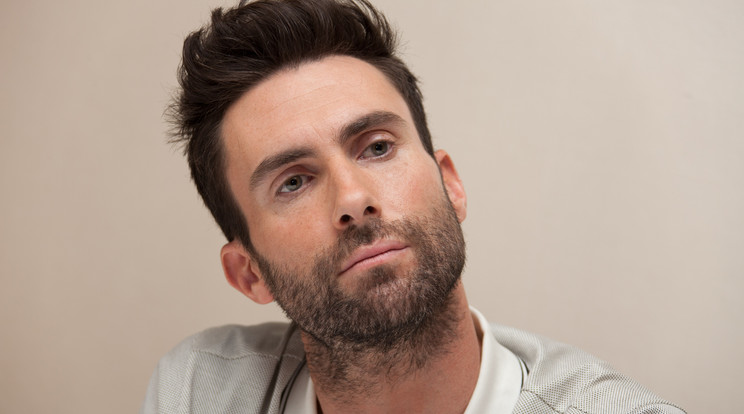 Adam Levine elismeri, hogy hibázott / Fotó: Northfoto