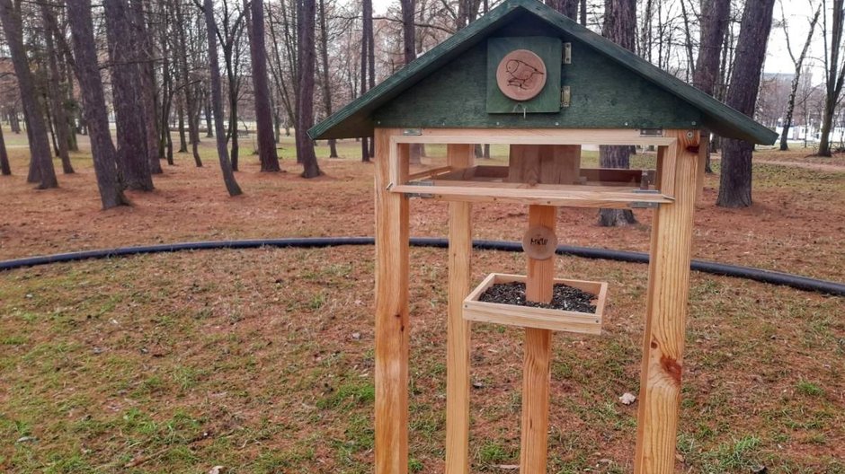 Karmniki dla ptaków pojawiły się w tyskich parkach!