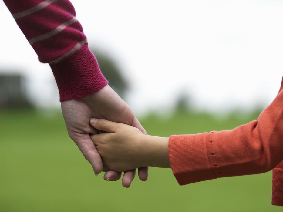 A kisfiút örökbe fogadják. Amikor a család kutyájával először találkozik, döbbenetes dolog történik