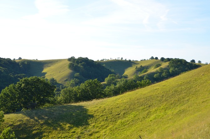 Zagajička brda su nazeleniji deo Deliblatske peščare