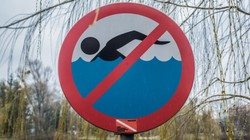 Pięć kąpielisk na Pomorzu zamkniętych z powodu zakwitu sinic