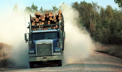 Cena drewna w Polsce jest najwyższa w Europie