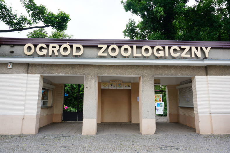 Zoo w Poznaniu