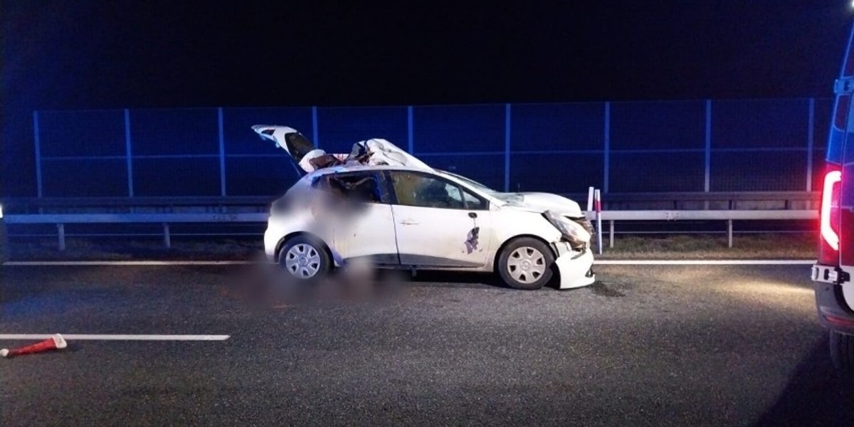 Wypadek na A4. Osobówka zderzyła się z łosiem. Trzy osoby, w tym dziecko, trafiły do szpitala.