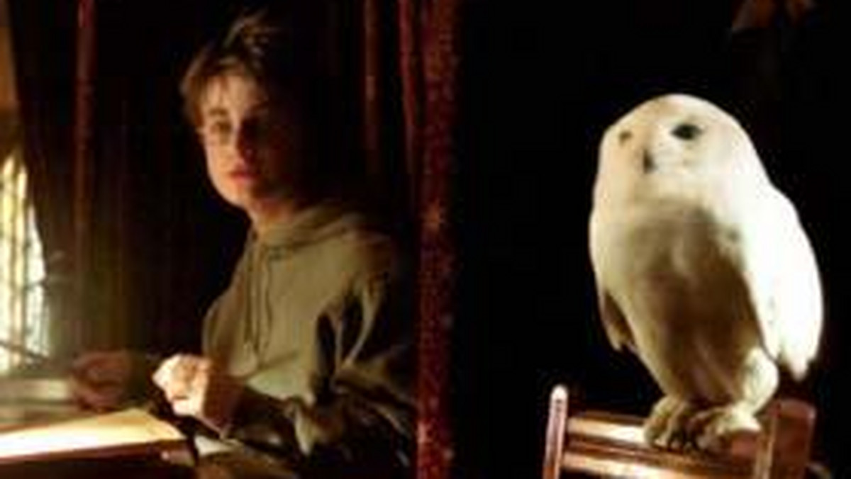 Popularność książek o Harrym Potterze spowodowała niezwykłe zainteresowanie w Anglii sowami.