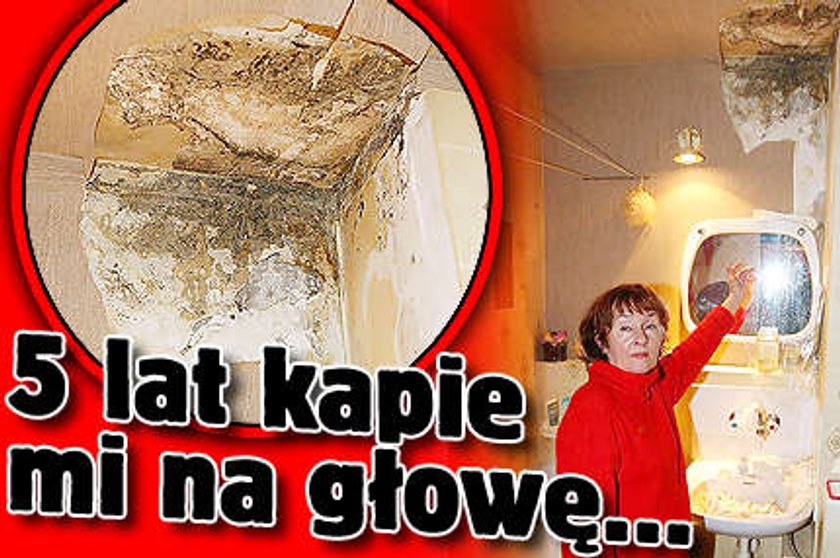 5 lat kapie mi na głowę!