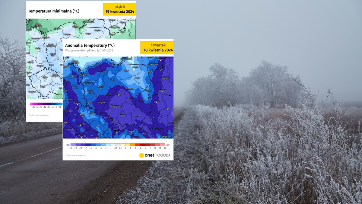 Groźne przymrozki uderzą w Polskę. Możliwe spore straty 