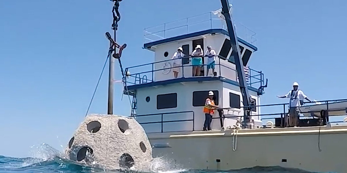 Firma Eternal Reefs używa kul jako miejsc pochówku. W ciągu ostatnich 20 lat wrzuciła do oceanu prawie 2500 kul.