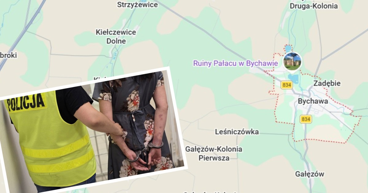 Córka uderzyła matkę zegarem w kształcie słonia. Staruszka nie żyje
