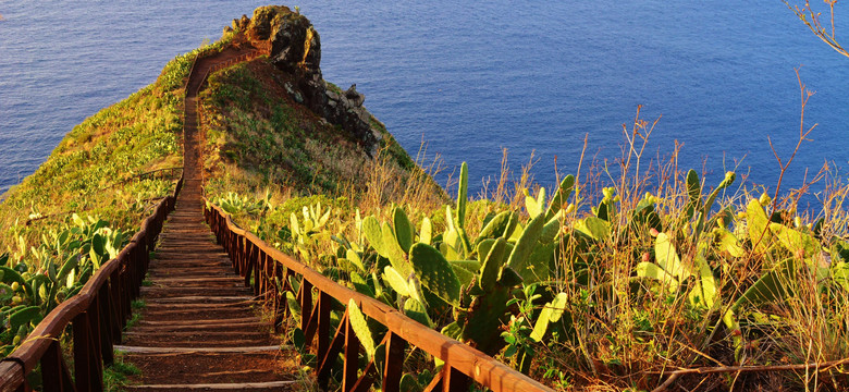 Madera: Wyspa wiecznej wiosny. Urlopowy hit przez 10 miesięcy w roku
