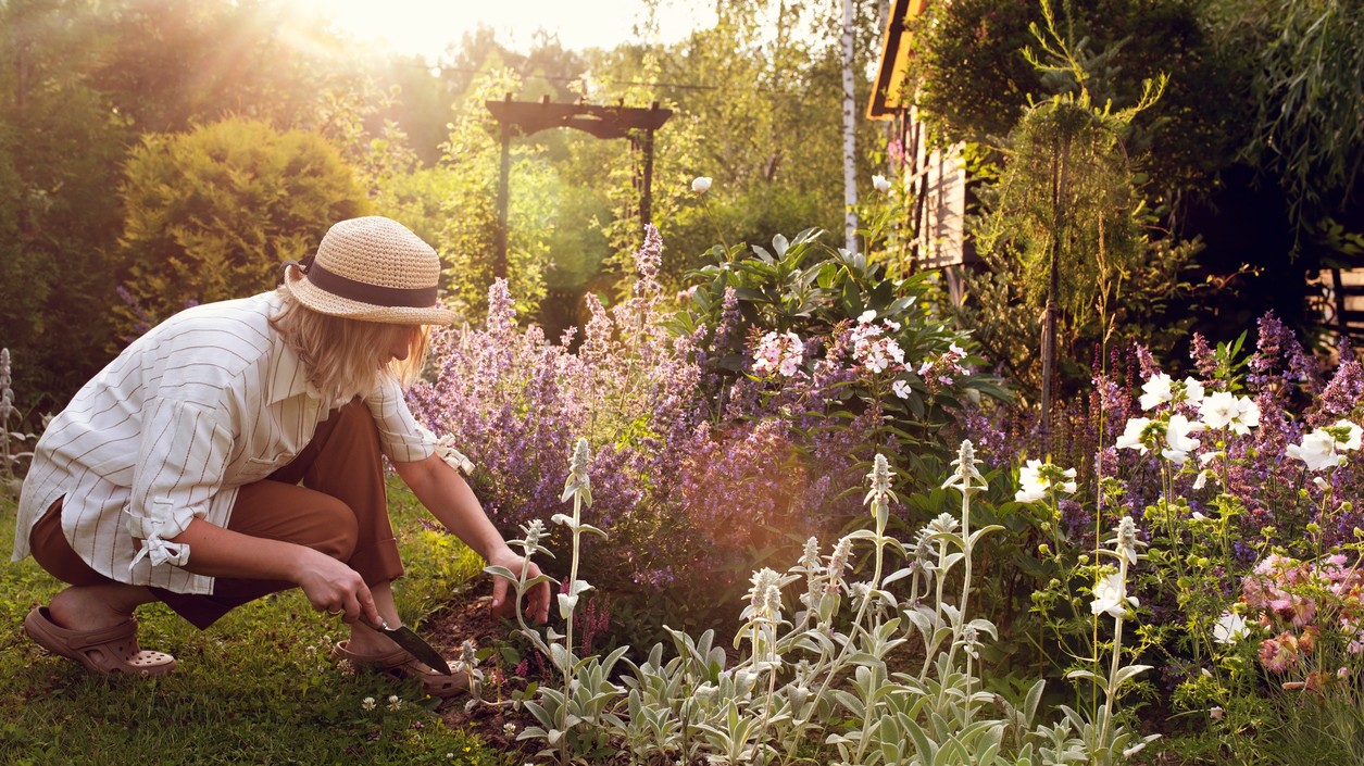 Tento jednoduchý zvyk posilní vaše zdravie aj náladu.