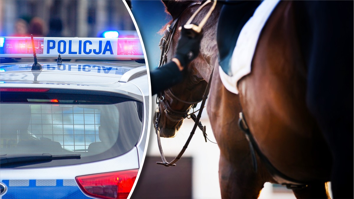 Wypadek z udziałem konia. Nie żyje półtoraroczne dziecko