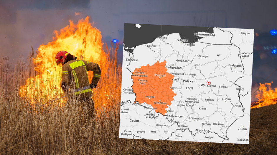 Fala upałów sunie do Polski. Wzrośnie też zagrożenie pożarowe w lasach (mapa: IMGW)