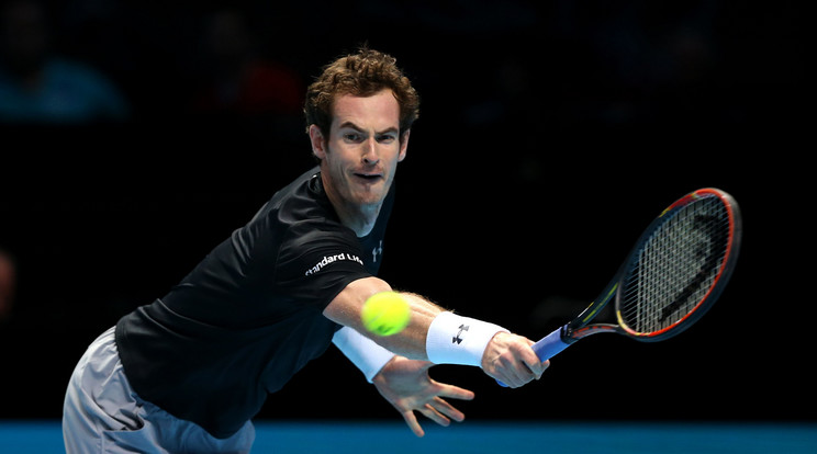 Andy Murray Davis Kupa-fináléja terrorveszélyes/Fotó: Northfoto