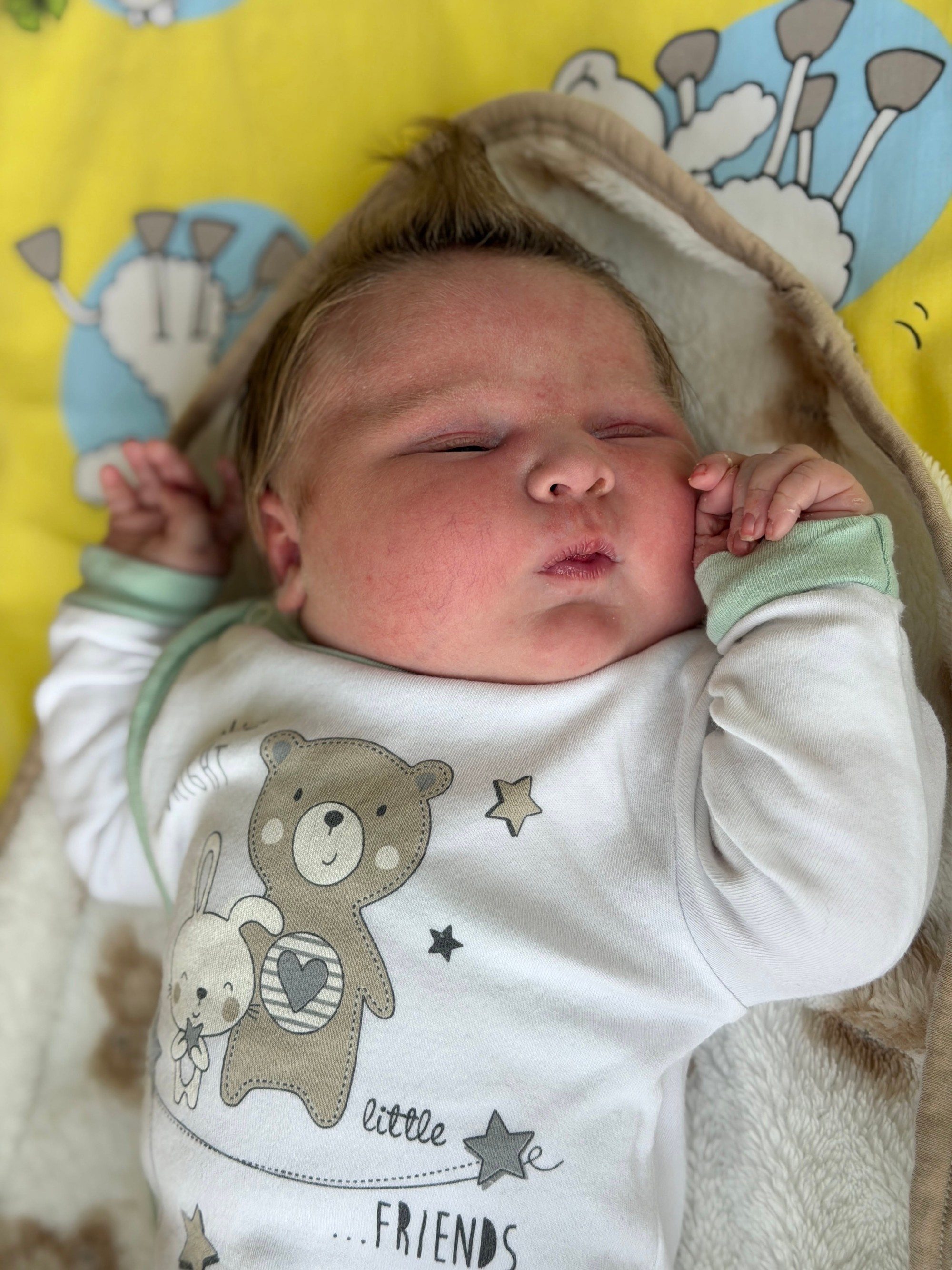 Teodor je naozajstný obor.