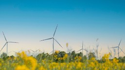 ustawa wiatrakowa 2.0. projekt powraca bez zmniejszenia minimalnej odl